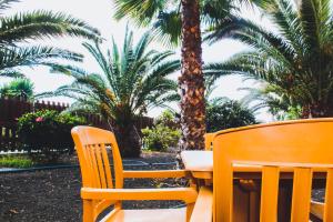 Fotografia z galérie ubytovania Oasis Fuerteventura Beach Apartments v destinácii Corralejo