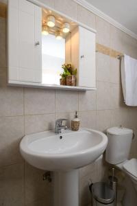 ein Badezimmer mit einem Waschbecken, einem Spiegel und einem WC in der Unterkunft Coral Sea Studio in Kokkinos Pyrgos