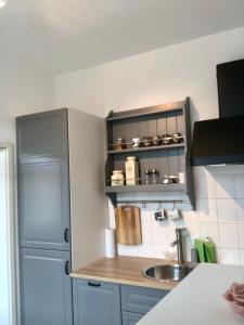 een keuken met een wastafel en een koelkast bij Kaßberg-Apartment am Puls der Stadt in Chemnitz