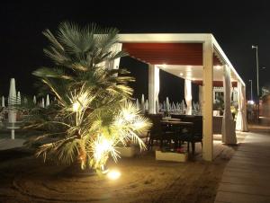 una palma di fronte a un gazebo di notte di Graziella Residence a Gabicce Mare