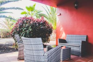 Fotografia z galérie ubytovania Oasis Fuerteventura Beach Apartments v destinácii Corralejo