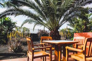 Fotografia z galérie ubytovania Oasis Fuerteventura Beach Apartments v destinácii Corralejo