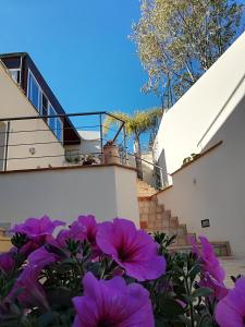 a bunch of purple flowers in front of a building at Casa Serra in Porto Palo