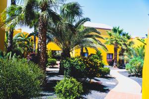 Fotografia z galérie ubytovania Oasis Fuerteventura Beach Apartments v destinácii Corralejo