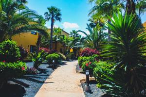 Fotografia z galérie ubytovania Oasis Fuerteventura Beach Apartments v destinácii Corralejo