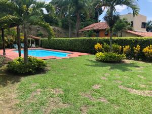 un patio con piscina y palmeras en Finca Panaca Jaguey 5 en Quimbaya