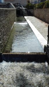 Imagen de la galería de Albergue "El Río", en Cella