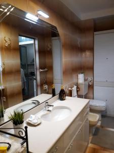 uma casa de banho com um lavatório, um WC e um espelho. em IL PORTONE VERDE em Turim