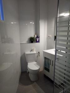 a white bathroom with a toilet and a sink at Sofia's Flat in Valencia