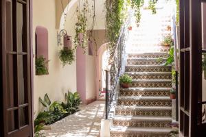 Fotografie z fotogalerie ubytování Kuka y Naranjo v destinaci Mérida