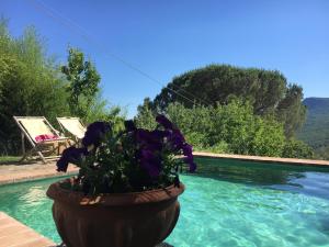 Bazén v ubytovaní Podere di Maggio - Glamping tent 3 alebo v jeho blízkosti