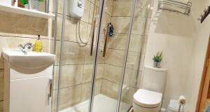 een badkamer met een douche, een toilet en een wastafel bij Flat 14d Bayhead in Stornoway