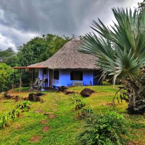 a small blue house with a thatched roof at Finca del Sol Eco Lodge in Santa Cruz