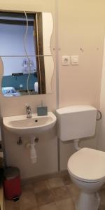 a bathroom with a sink and a toilet and a mirror at Apartments Čebelica in Bohinj