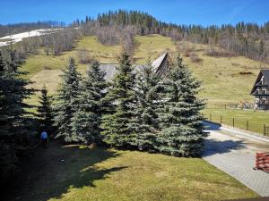 an overhead view of a group of trees in a field at U KOMINKA in Zakopane