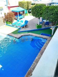 una piscina azul con sillas azules y árboles en Casa de Huéspedes May, en Ixtapan de la Sal