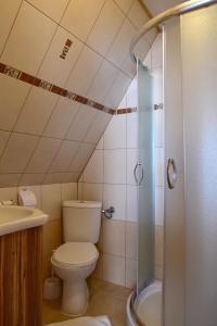 a bathroom with a toilet and a sink and a shower at Na ubocy in Brzegi +41 photos