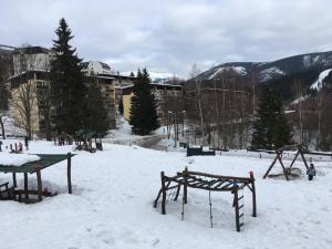 Holiday Apartment Spindleruv Mlyn during the winter