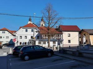 Afbeelding uit fotogalerij van Apartment Trubarjeva33, near Ljubljana, free parking in Velike Lašče