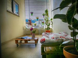 ein Wohnzimmer mit einem Sofa und einem Tisch mit Pflanzen in der Unterkunft RR Residence in Viana do Castelo