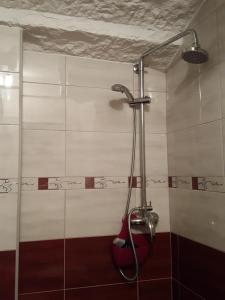 łazienka z prysznicem z głowicą prysznicową w obiekcie Apartment Astoria w mieście Krilo