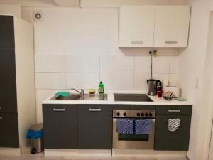 Kuchyň nebo kuchyňský kout v ubytování Apartment Souterrain für Monteure Nr 2