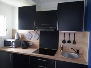 eine Küchentheke mit einer Spüle und einer Mikrowelle in der Unterkunft Appartement Cosy proche Météo France et Airbus in Toulouse