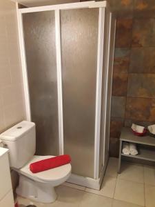プラヤ・デ・ラス・アメリカスにあるApartment Venezuelaのバスルーム(シャワー、赤い枕付きのトイレ付)