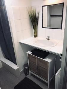 La salle de bains est pourvue d'un lavabo et d'un miroir. dans l'établissement APPARTEMENT PROCHE CITÈ MEDIEVALE 4 pers, à Carcassonne