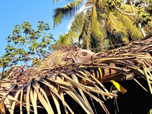 Φωτογραφία από το άλμπουμ του Casa Tuanis, Drake Bay σε Drake +10 φωτογραφίες