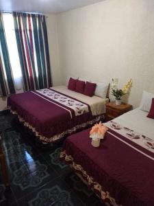 Gallery image of Casa de Hu&eacute;spedes May in Ixtapan de la Sal