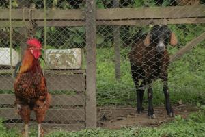 拉维加HOTEL LA SELVA Reserva的相册照片 更多177张照片