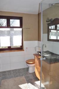 a bathroom with a toilet and a glass shower at Ferienhaus Caselow 23 in Bergholz