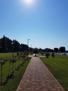 Příroda nedaleko apartmánu