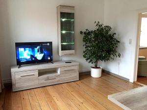 een woonkamer met een televisie en een potplant bij Ferienwohnung Elly in Altefähr