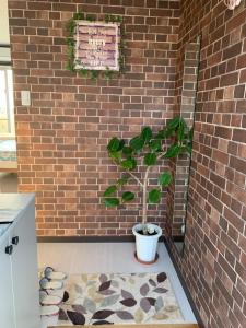 roślina w garnku obok muru ceglanego w obiekcie guesthouse yu -SEVEN Hotels and Resorts- w mieście Yomitan