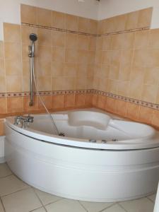a bath tub with a shower in a bathroom at Les roddiers in Neuville