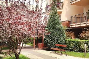 Vonkajšia záhrada v ubytovaní Ilka Garden