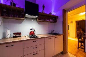 Kuchyň nebo kuchyňský kout v ubytování Apartment Caesar by Belmont Realty