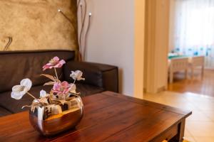 Fotografie z fotogalerie ubytování Apartment Caesar by Belmont Realty v destinaci Zadar