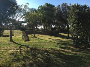 A garden outside VILLA VENERE near the sea- 25 minutes to S.Peter