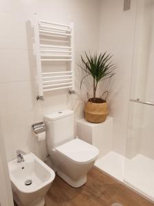 a white bathroom with a toilet and a plant at Fuente Foncalada Oviedo Centro Gascona in Oviedo +38 photos
