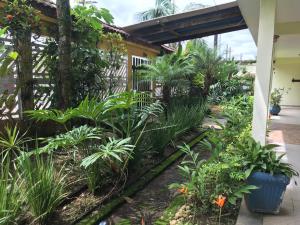 a garden in front of a house with plants at Pousada Boramar in Boracéia