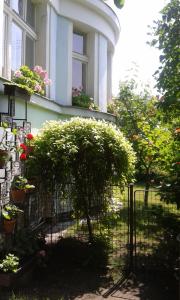 a gate in front of a house with potted plants at EKO-penzion Hamry in Žiželice