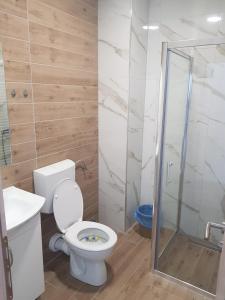 a bathroom with a toilet and a shower at Mediteran B&B in Prozor