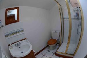 a small bathroom with a toilet and a shower at La Paisière in Montaudin +22 photos