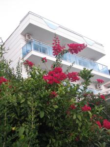 A garden outside Rhapsody Hotel Kas