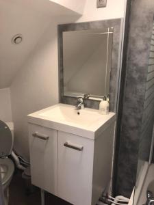 La salle de bains est pourvue d'un lavabo et d'un miroir. dans l'établissement maison therme st Amand, à Saint-Amand-les-Eaux