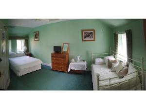 1 dormitorio verde con 2 camas y vestidor en The Old Rectory, en Annan