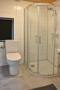 La salle de bains est pourvue de toilettes et d'une douche en verre. dans l'établissement Het creijennest Gemeente 's-Hertogenbosch, à Rosmalen